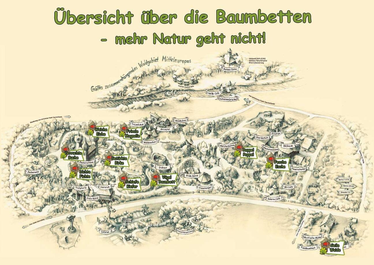 Baumbetten_Plan